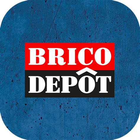 bricodepot reus|Brico Depot